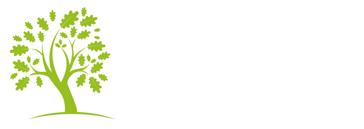Agentur HUB Erle